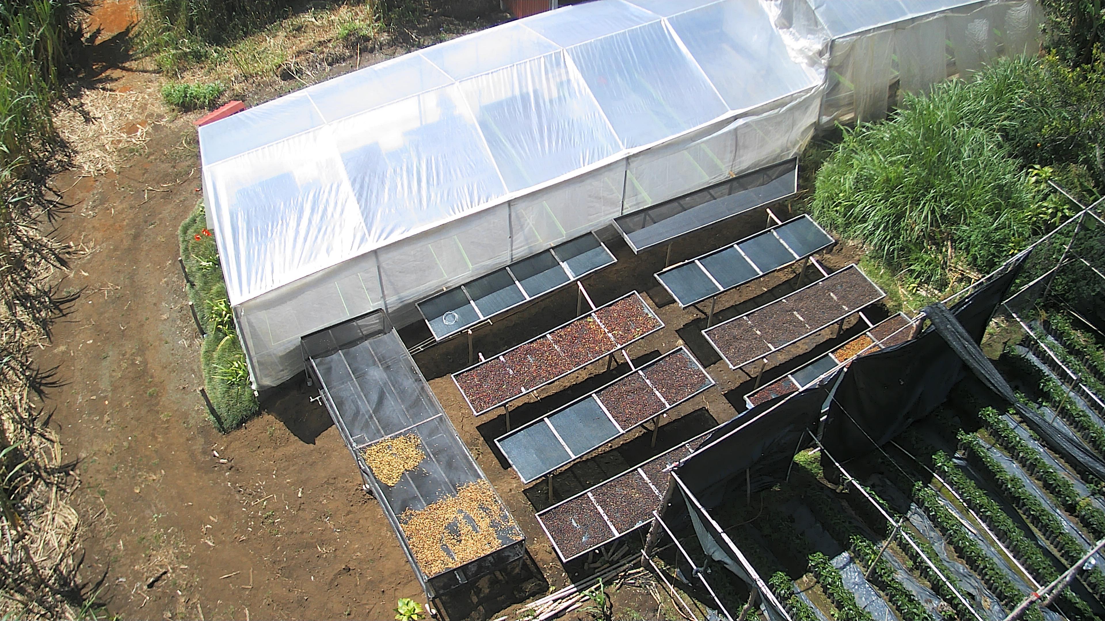 Detalle de microlote en Cinco Calles