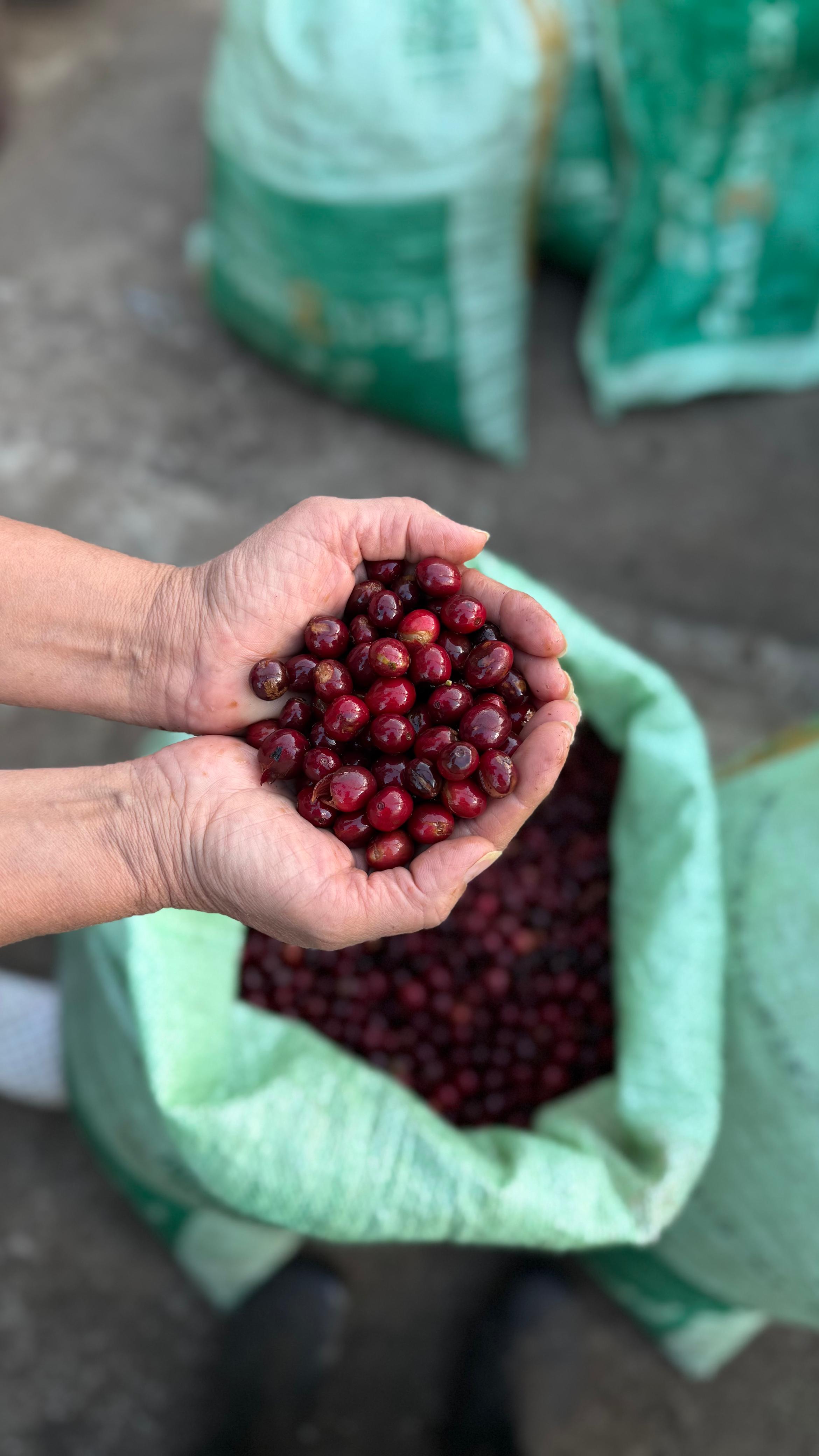 Detalle vertical de proceso en Cinco Calles 10