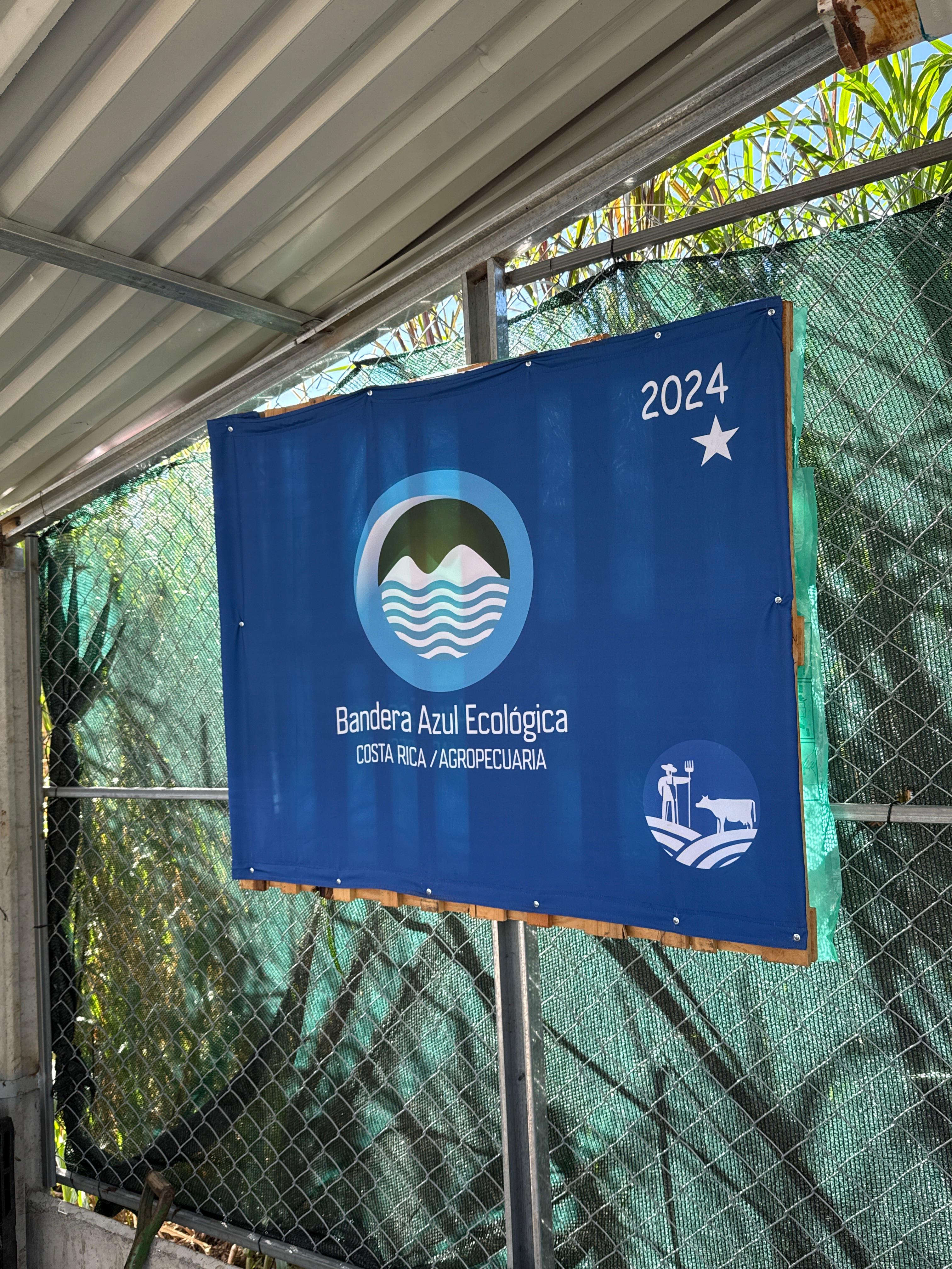 Detalle vertical de proceso en Cinco Calles 11