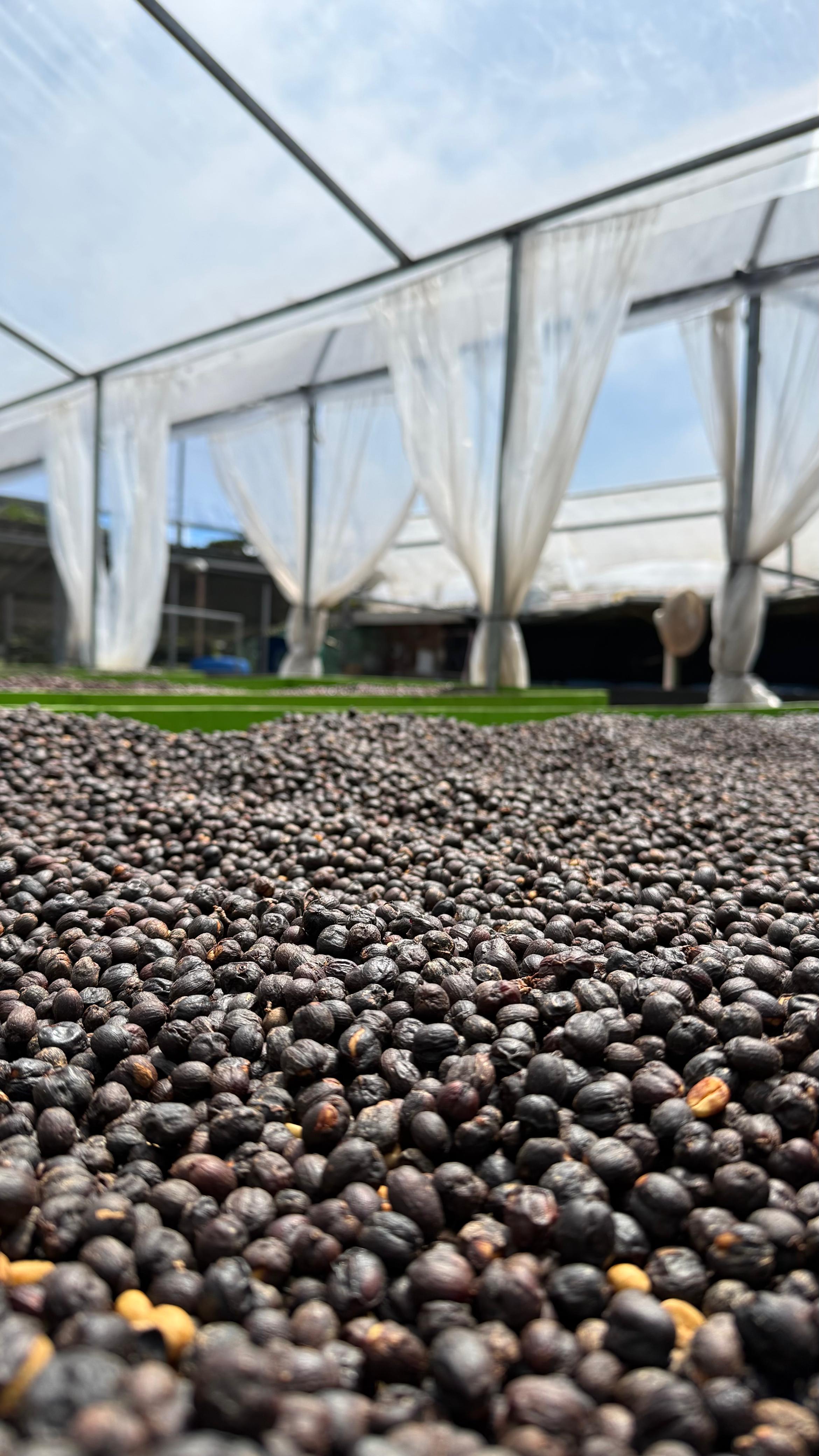 Detalle vertical de proceso en Cinco Calles 17