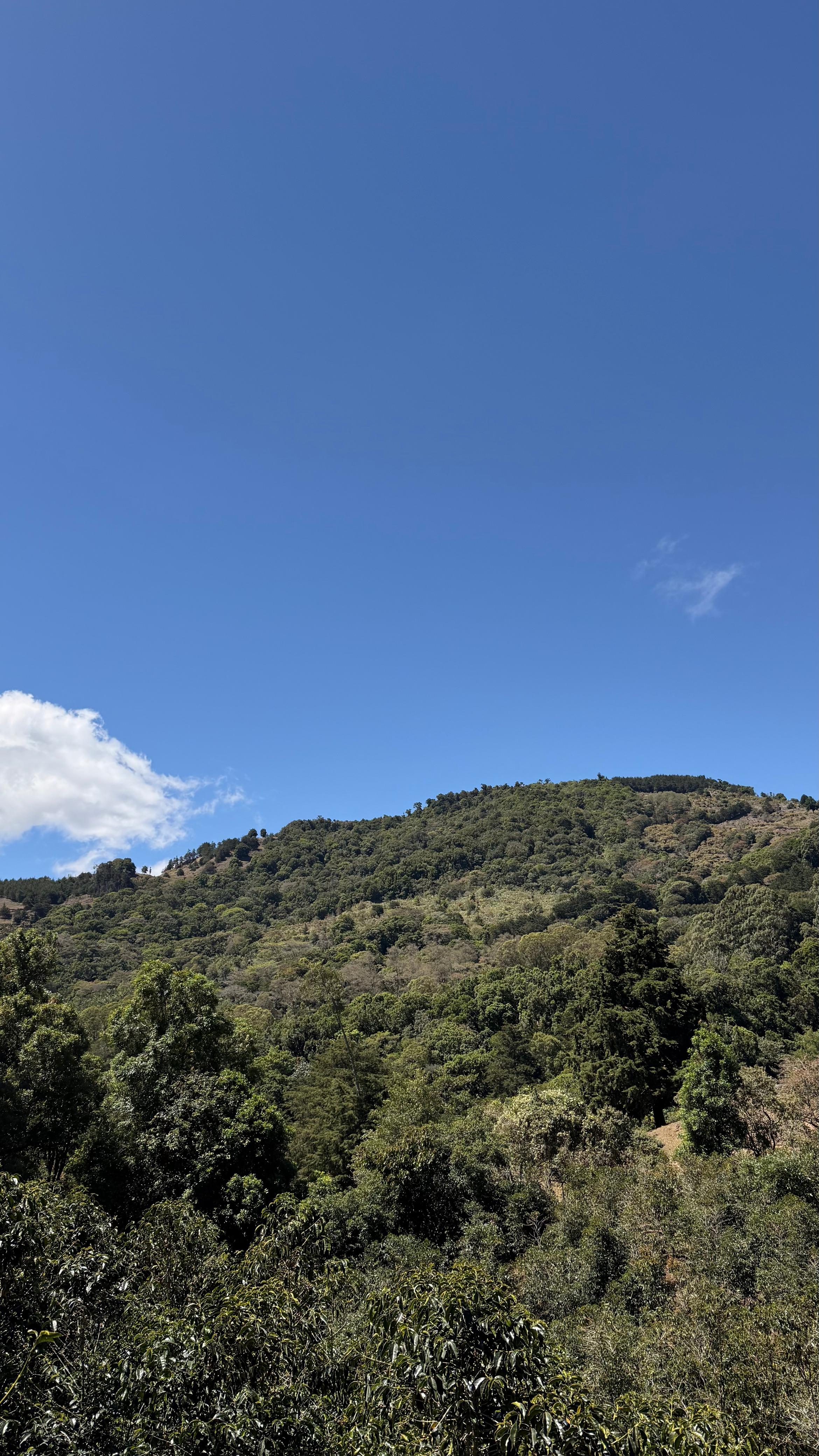 Detalle vertical de proceso en Cinco Calles 18
