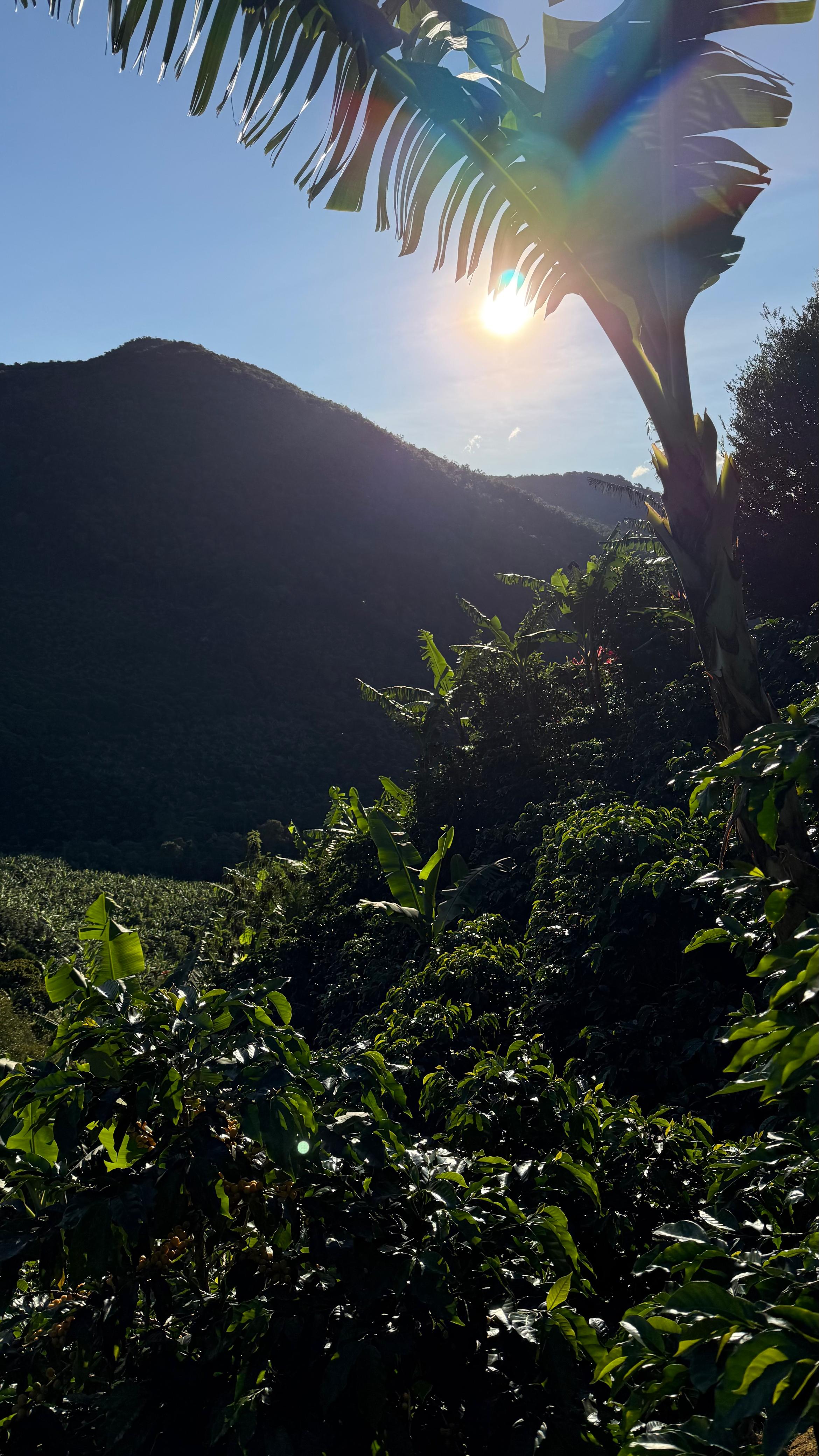 Detalle vertical de proceso en Cinco Calles 05